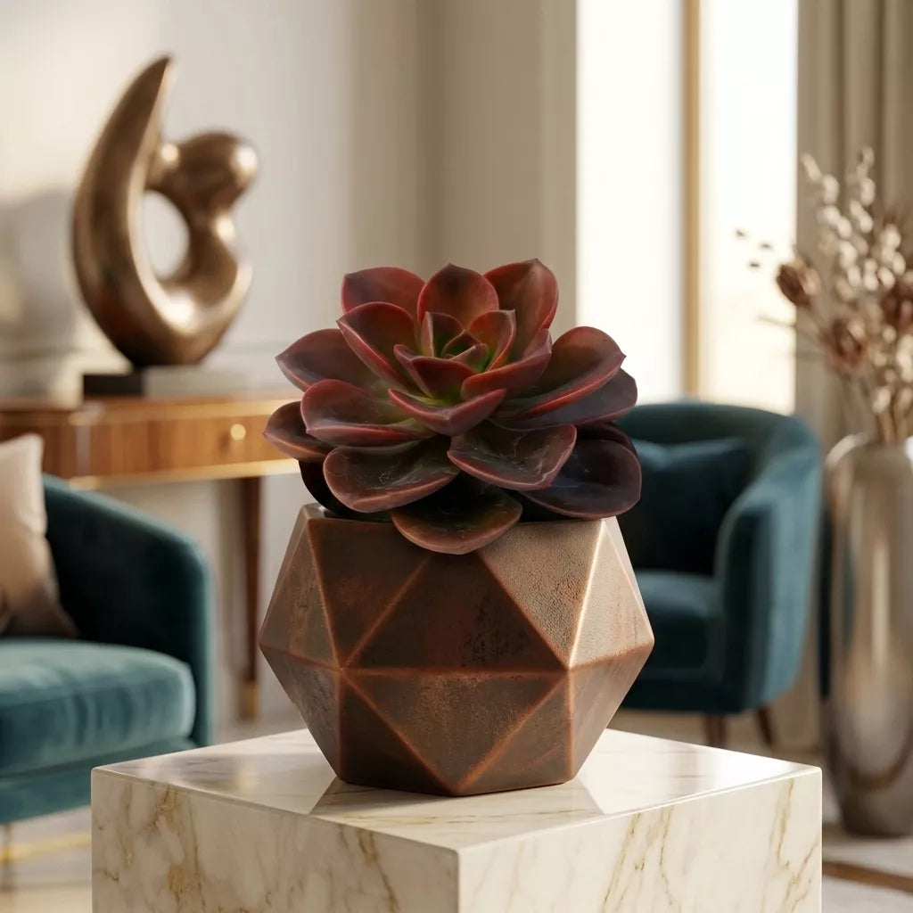 Echeveria Chroma (Bare Rooted)